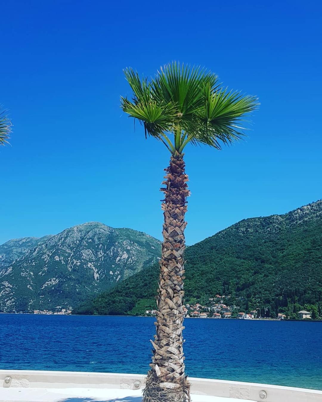 Apartman Taraca Villa Knezevic Herceg Novi Bilik gambar