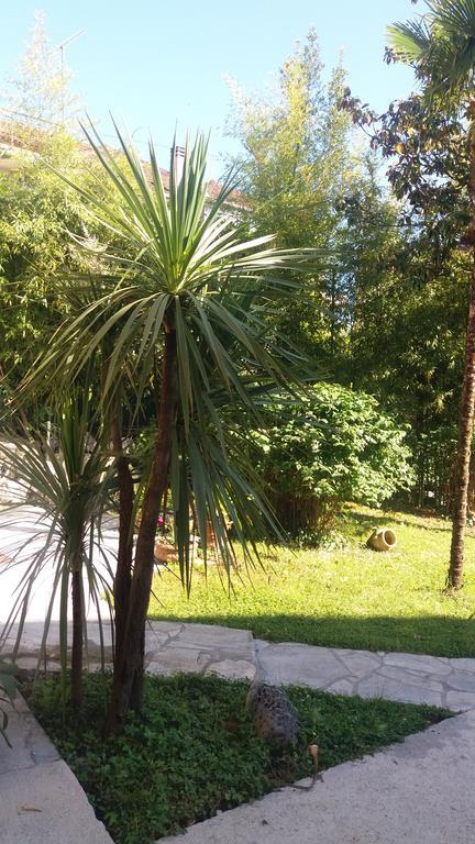 Apartman Taraca Villa Knezevic Herceg Novi Luaran gambar