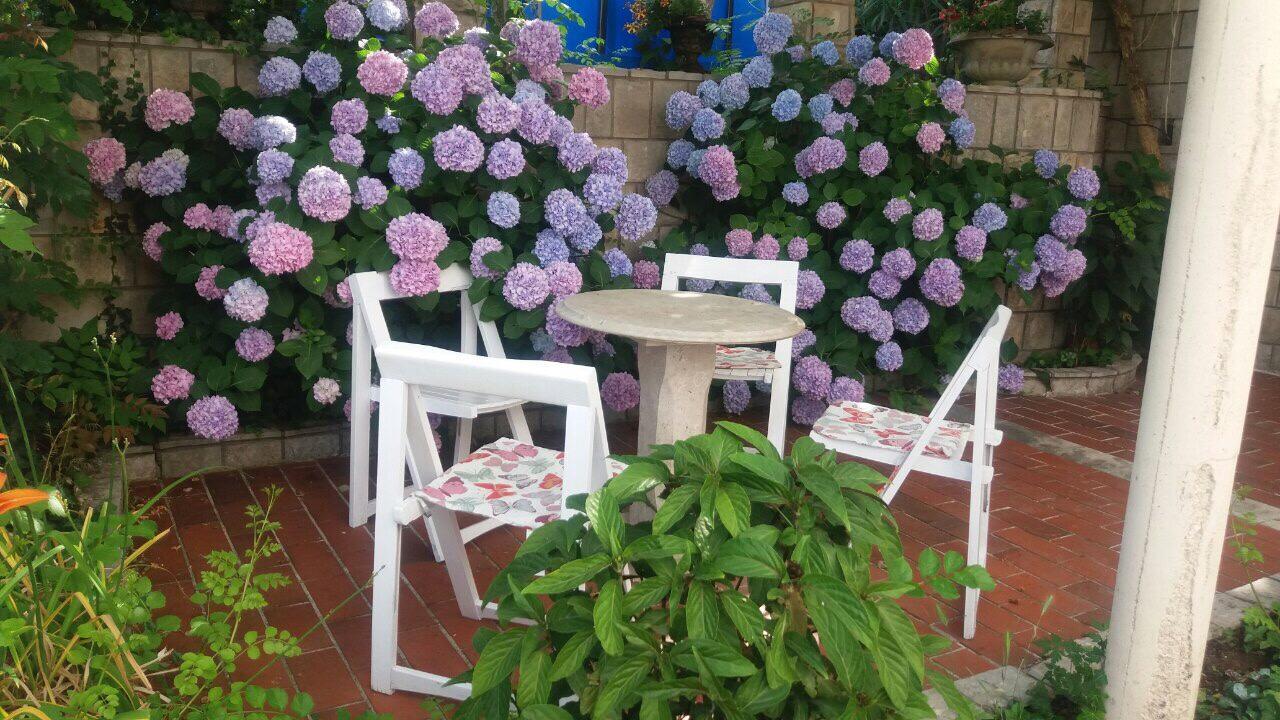 Apartman Taraca Villa Knezevic Herceg Novi Luaran gambar
